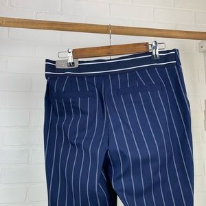 Blue Striped Skinny Ankle pant never worn M